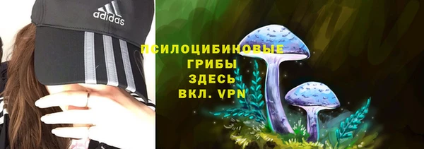амфетамин Медвежьегорск