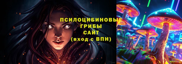 твердый Переславль-Залесский